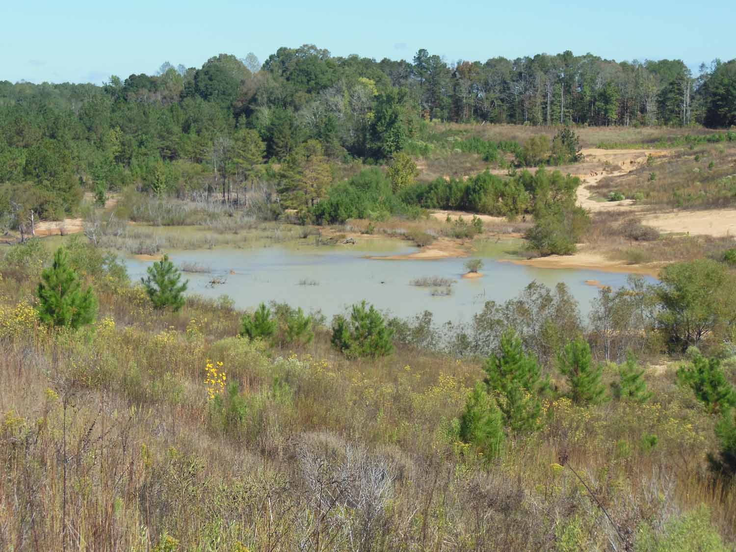 Mississippi landscape photo 2
